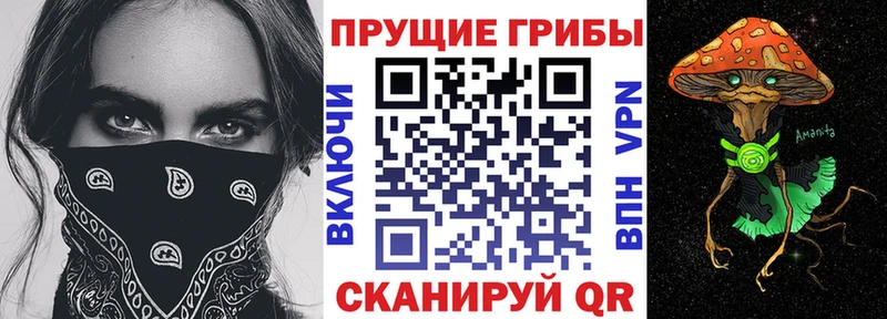 ОМГ ОМГ зеркало  Урай  Псилоцибиновые грибы Cubensis  магазин продажи  